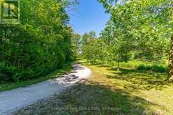 600380 SIDEROAD 50 N | Chatsworth Ontario | Slide Image Forty-four