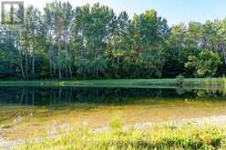 7781 POPLAR SIDE ROAD | Collingwood Ontario | Slide Image Forty-nine