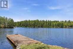 7 SR405 SHORE | Muskoka Lakes Ontario | Slide Image Thirty-four