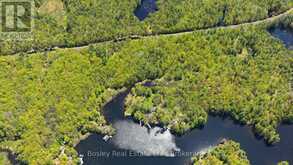 7 SR405 SHORE | Muskoka Lakes Ontario | Slide Image Thirty-seven