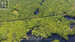 7 SR405 SHORE | Muskoka Lakes Ontario | Slide Image Four