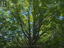 PT LT 12 PART 1 18 GREY ROAD | Meaford Ontario | Slide Image Ten