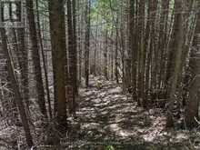 PT LT 12 PART 1 18 GREY ROAD | Meaford Ontario | Slide Image Thirteen