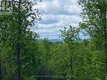 PT LT 12 PART 1 18 GREY ROAD | Meaford Ontario | Slide Image Four