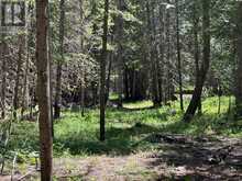 PT LT 12 PART 2 18 GREY ROAD | Meaford Ontario | Slide Image Five