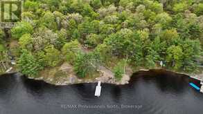 303 NINE MILE LAKE | Muskoka Lakes Ontario | Slide Image Seventeen