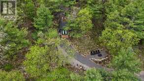 303 NINE MILE LAKE | Muskoka Lakes Ontario | Slide Image Eighteen