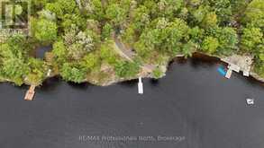 303 NINE MILE LAKE | Muskoka Lakes Ontario | Slide Image Twenty-five