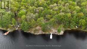 303 NINE MILE LAKE | Muskoka Lakes Ontario | Slide Image Twenty-six