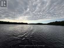 303 NINE MILE LAKE | Muskoka Lakes Ontario | Slide Image Thirty-three