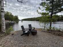 303 NINE MILE LAKE | Muskoka Lakes Ontario | Slide Image Seven