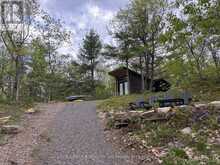 303 NINE MILE LAKE | Muskoka Lakes Ontario | Slide Image Nine