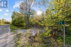 71 MAPLE DRIVE | Miller Lake Ontario | Slide Image Six