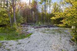 71 MAPLE DRIVE | Miller Lake Ontario | Slide Image Nine