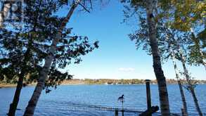 52 SHORE DRIVE | South Bruce Peninsula Ontario | Slide Image Forty-two