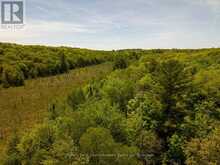 593 HIGHWAY 518 | Seguin Ontario | Slide Image Ten