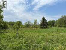 351 RAVENSCLIFFE ROAD | Huntsville Ontario | Slide Image Thirteen