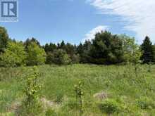 351 RAVENSCLIFFE ROAD | Huntsville Ontario | Slide Image Seventeen