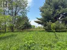 351 RAVENSCLIFFE ROAD | Huntsville Ontario | Slide Image Two