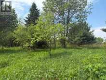 351 RAVENSCLIFFE ROAD | Huntsville Ontario | Slide Image Three