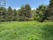 351 RAVENSCLIFFE ROAD | Huntsville Ontario | Slide Image Six
