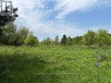 351 RAVENSCLIFFE ROAD | Huntsville Ontario | Slide Image Seven