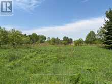 351 RAVENSCLIFFE ROAD | Huntsville Ontario | Slide Image Eight
