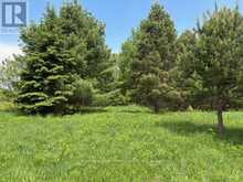 351 RAVENSCLIFFE ROAD | Huntsville Ontario | Slide Image Nine