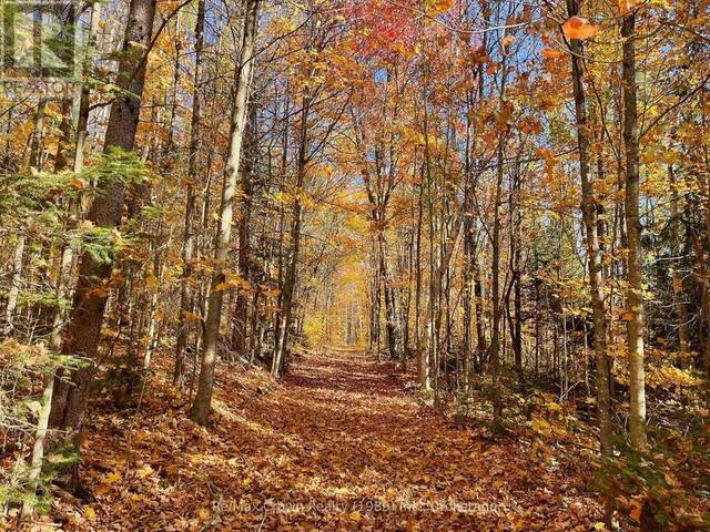 0 20TH SIDE ROAD Parry Sound Ontario, P0H 1Y0 - Vacant Land For Sale
