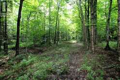 0 20TH SIDE ROAD | Parry Sound Ontario | Slide Image Ten