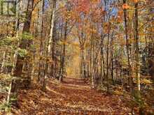 0 20TH SIDE ROAD | Parry Sound Ontario | Slide Image One