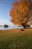 185 PICNIC ISLAND ROAD | Port Severn Ontario | Slide Image Forty-nine