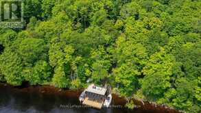 484 BIG ISLAND S | Huntsville Ontario | Slide Image Thirty-three