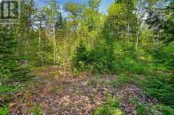 PT LOT 8 CON 7 ECHO RIDGE ROAD | Kearney Ontario | Slide Image Nineteen