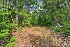 PT LOT 8 CON 7 ECHO RIDGE ROAD | Kearney Ontario | Slide Image Thirty-six