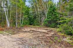 PT LOT 8 CON 7 ECHO RIDGE ROAD | Kearney Ontario | Slide Image Nine
