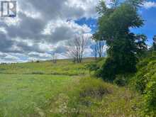 628190 15 SIDERD | Mulmur Ontario | Slide Image Six