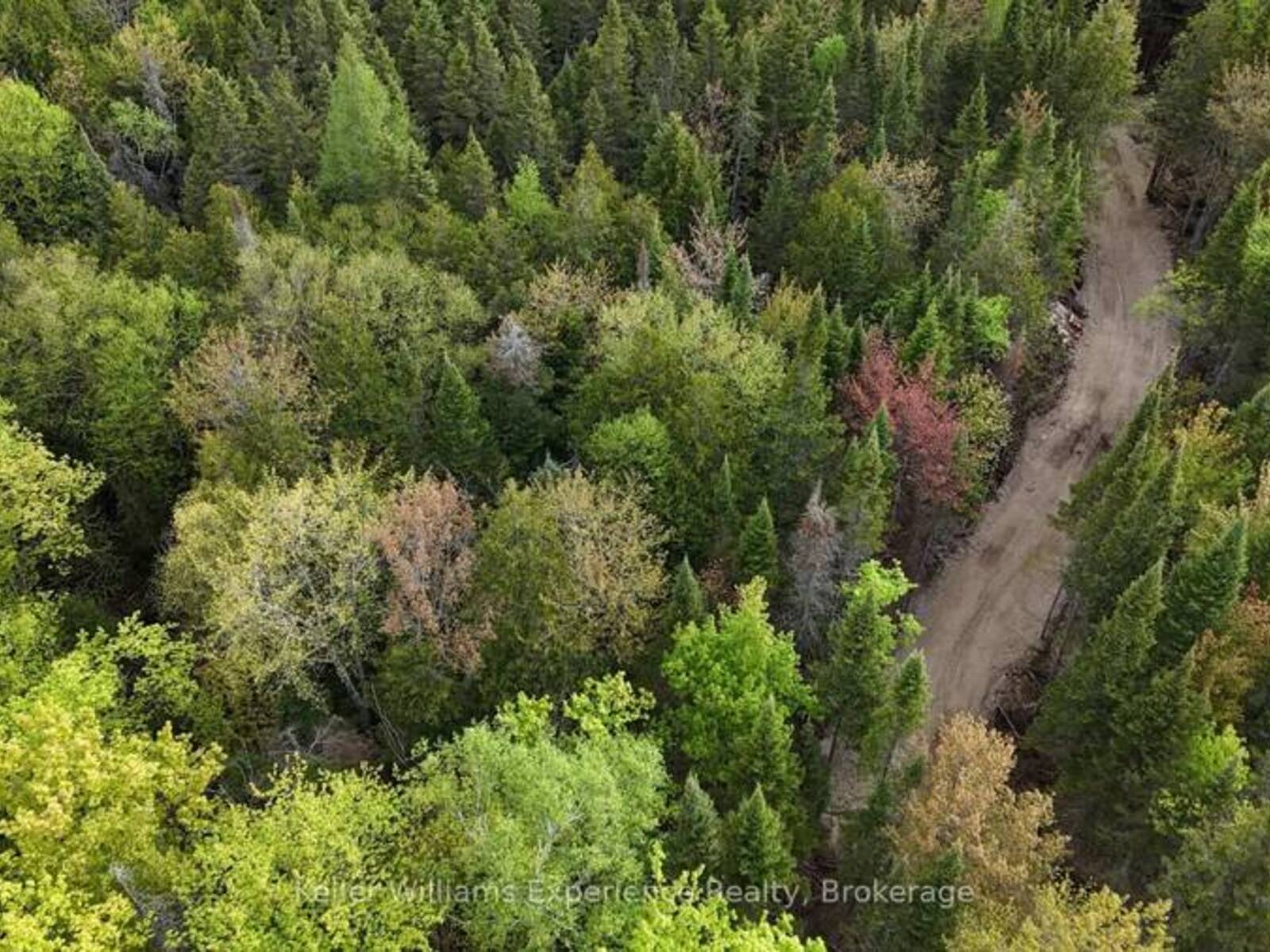 1366 ECHO RIDGE ROAD, Kearney, Ontario P0A 1M0