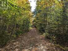 PL20 LANGFORD ROAD | Baysville Ontario | Slide Image Eleven