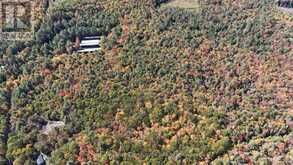 PL20 LANGFORD ROAD | Baysville Ontario | Slide Image Seventeen