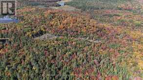 PL20 LANGFORD ROAD | Baysville Ontario | Slide Image One