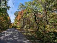 PL20 LANGFORD ROAD | Baysville Ontario | Slide Image Two