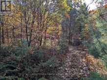 PL20 LANGFORD ROAD | Baysville Ontario | Slide Image Four
