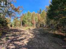 PL20 LANGFORD ROAD | Baysville Ontario | Slide Image Six