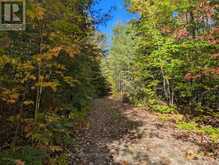 PL20 LANGFORD ROAD | Baysville Ontario | Slide Image Seven