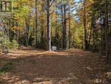 PL20 LANGFORD ROAD | Baysville Ontario | Slide Image Eight