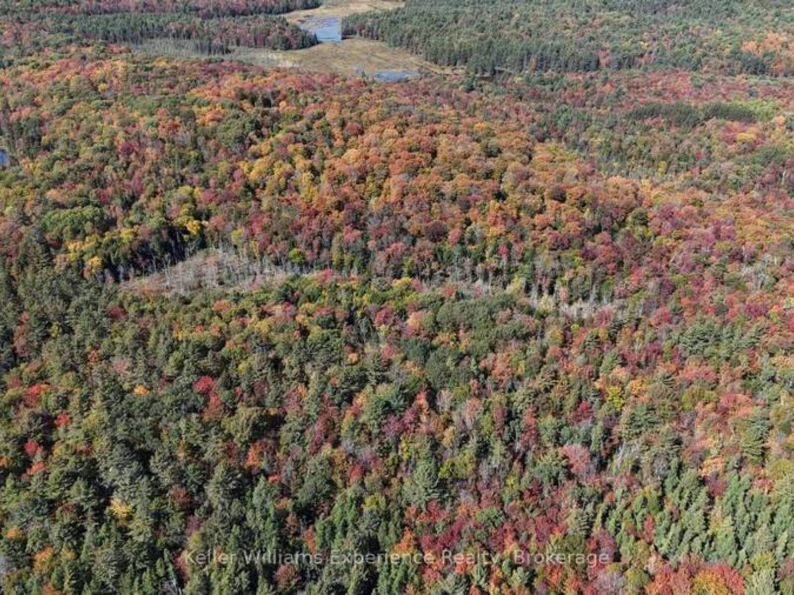 PL20 LANGFORD ROAD, Baysville, Ontario P0B 1A0