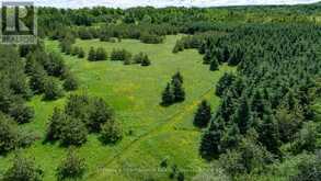 LOT 14 CON 2 1ST LINE E EHS | Mulmur Ontario | Slide Image Ten