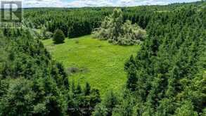 LOT 14 CON 2 1ST LINE E EHS | Mulmur Ontario | Slide Image Seventeen