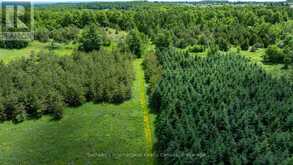 LOT 14 CON 2 1ST LINE E EHS | Mulmur Ontario | Slide Image Fourteen